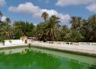 Oasis Tiout (25).JPG